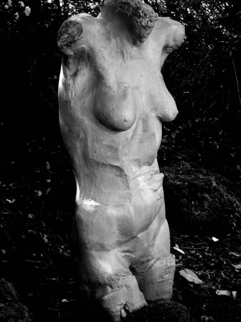A Root of Love (Torso 1978)