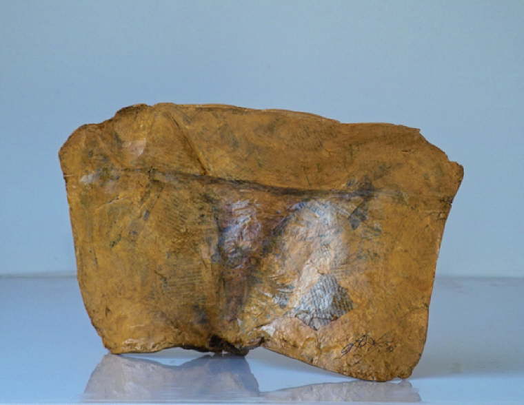 Bodyieces fig. #2-(2010)